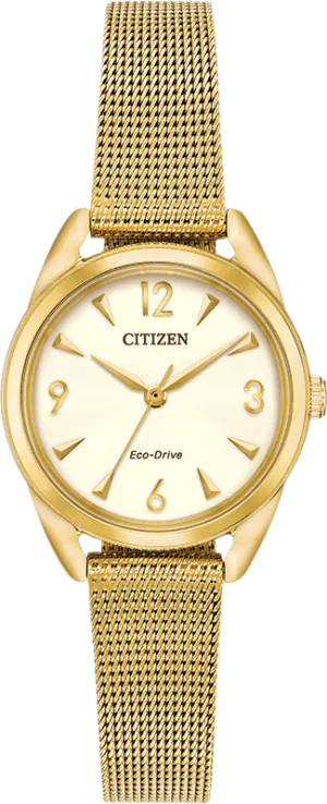 Citizen Eco Drive Ltr (Long Term Relationship) Women's Watch EM0682-58P