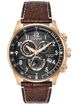 Citizen Eco Drive Perpetual Chrono A-T Men's Watch AT4133-09E