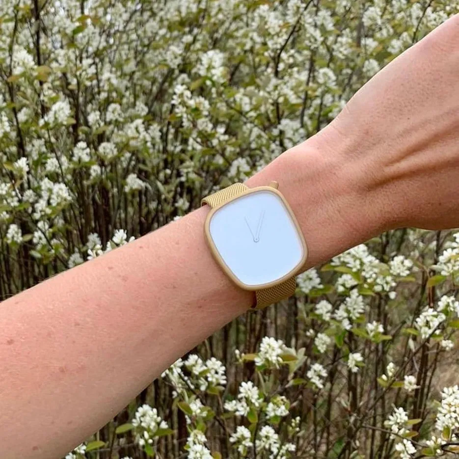 Minimalist Mesh Chain Watch