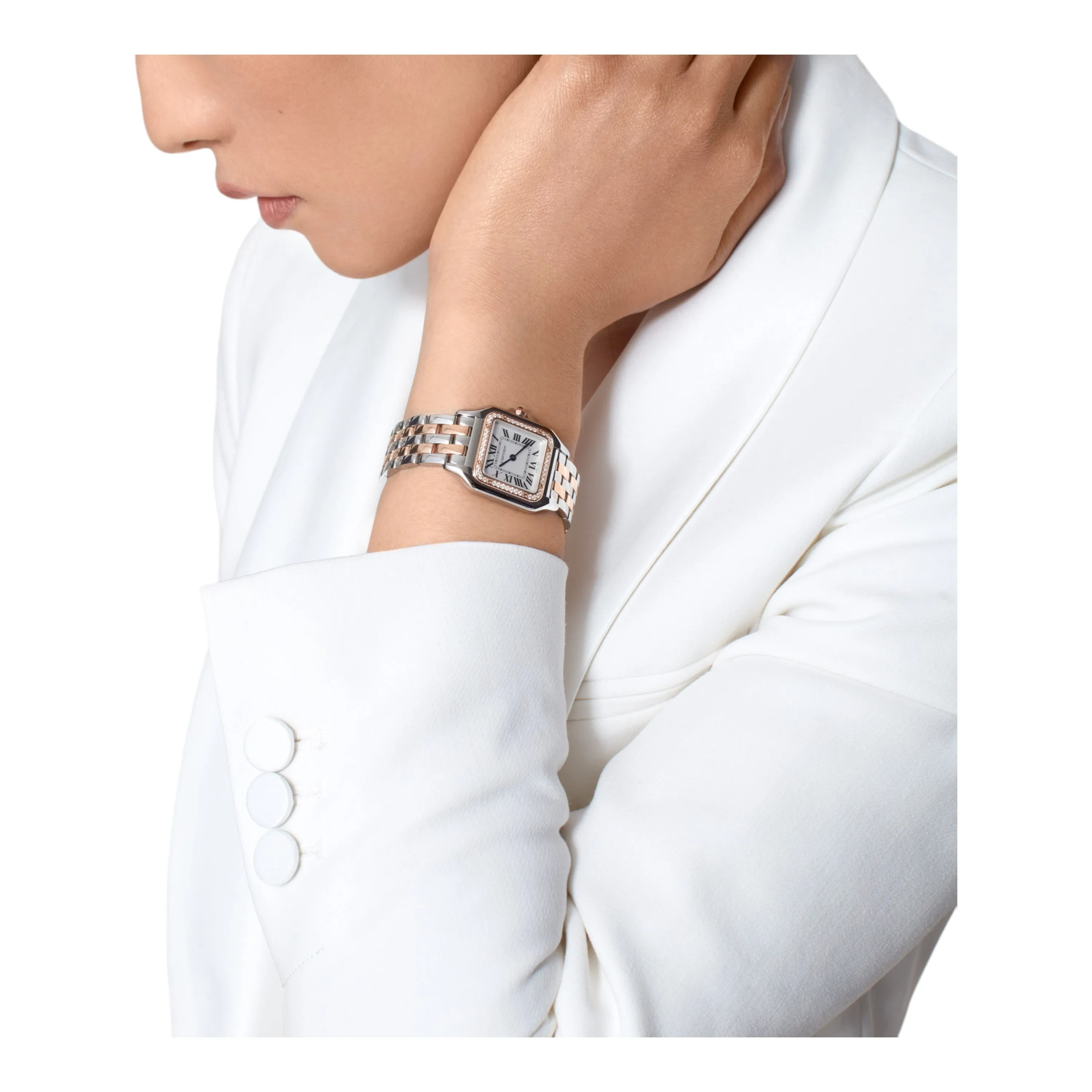 Panthère  De Cartier Watch Sliver