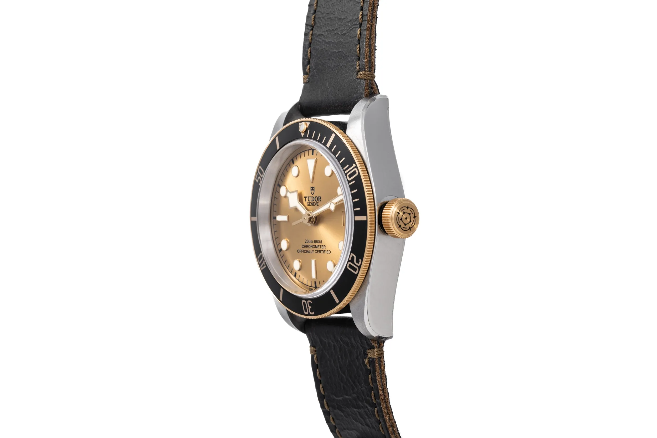 Tudor Black Bay S&G