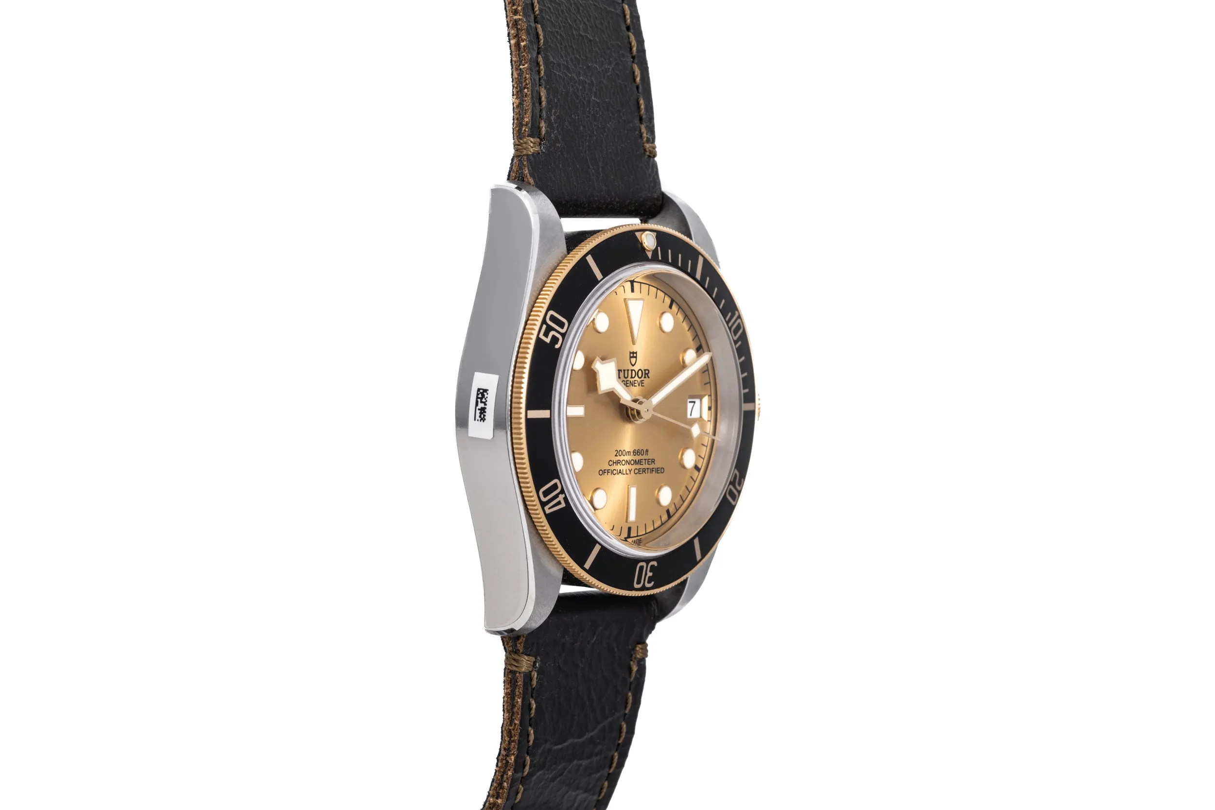 Tudor Black Bay S&G